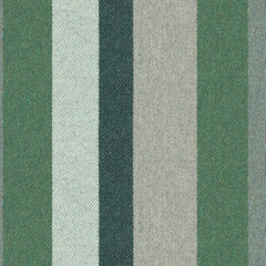 Forward Motion - Forest Path - 2009 - 06 - Half Yard