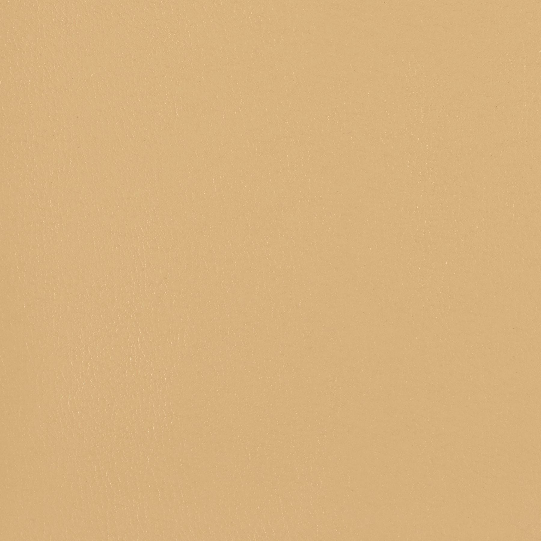 Fine Grain - French Beige - 4046 - 15 - Half Yard