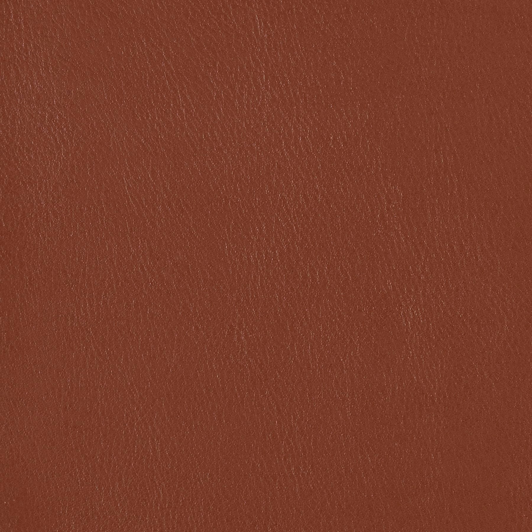 Fine Grain - Garnet Sand - 4046 - 19 - Half Yard