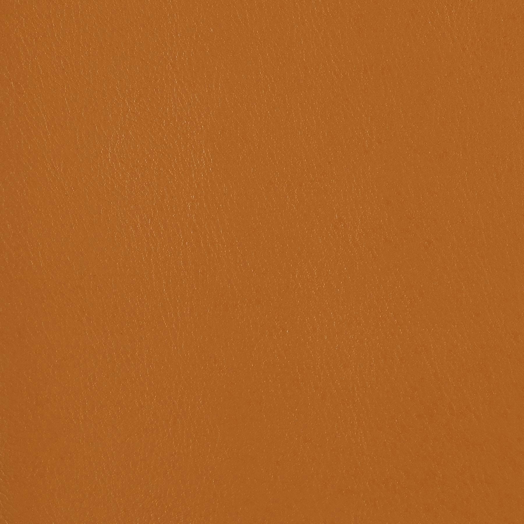 Fine Grain - Ginger Snap - 4046 - 16 - Half Yard