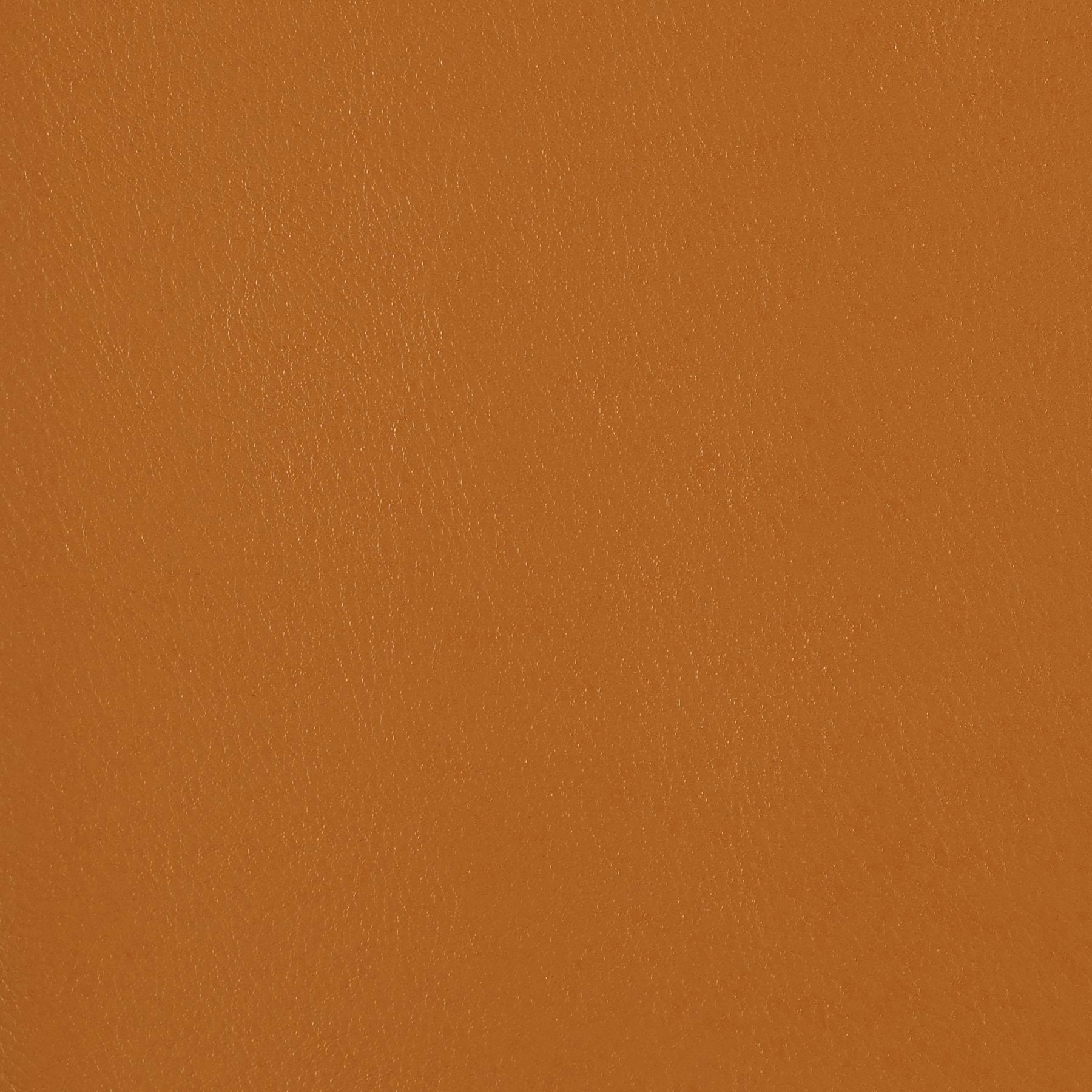 Fine Grain - Ginger Snap - 4046 - 16 - Half Yard