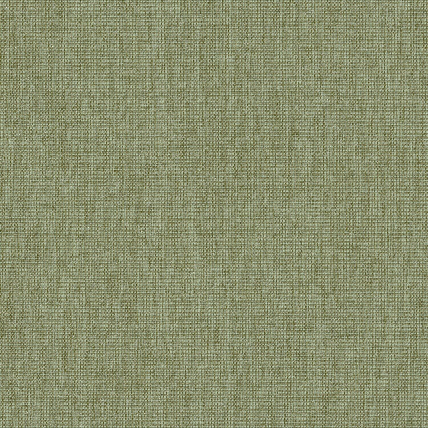 Haze - Pistachio - 2013 - 05