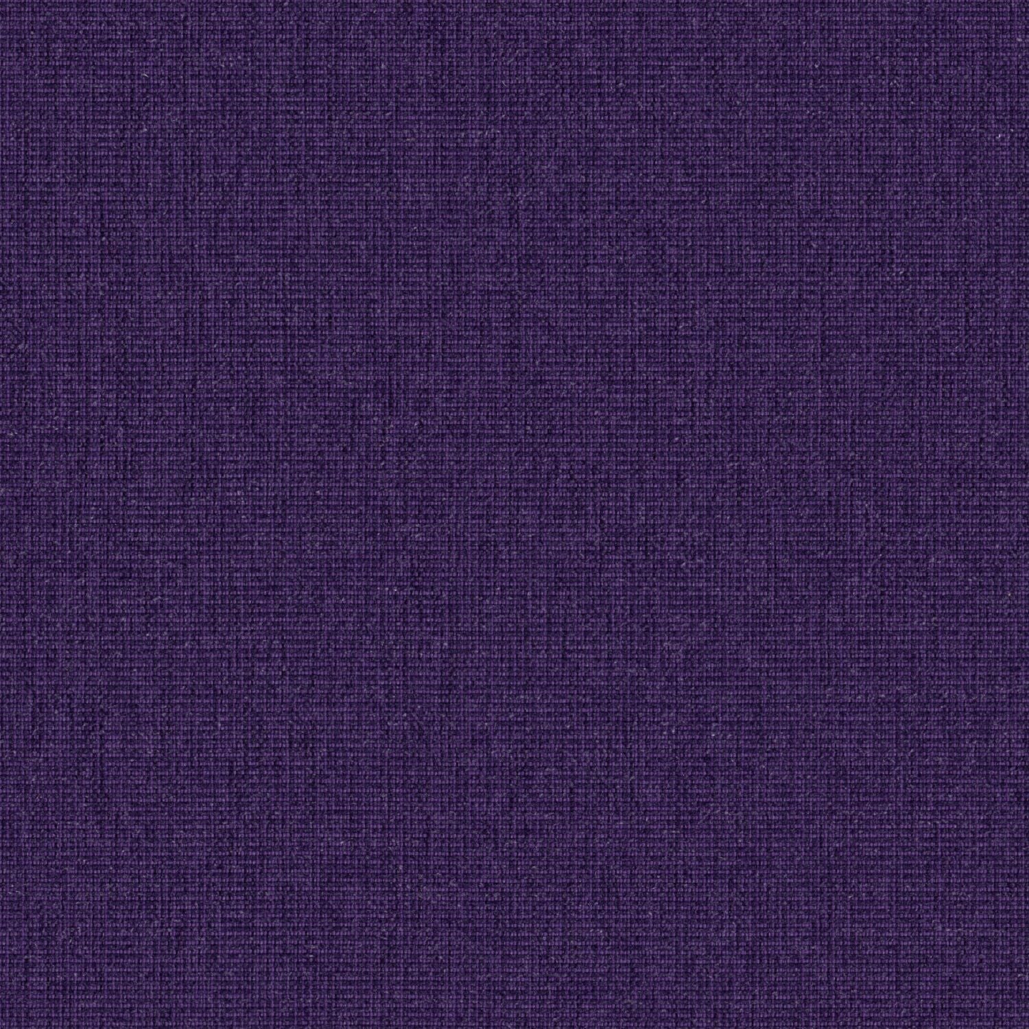 Haze - Violet - 2013 - 10