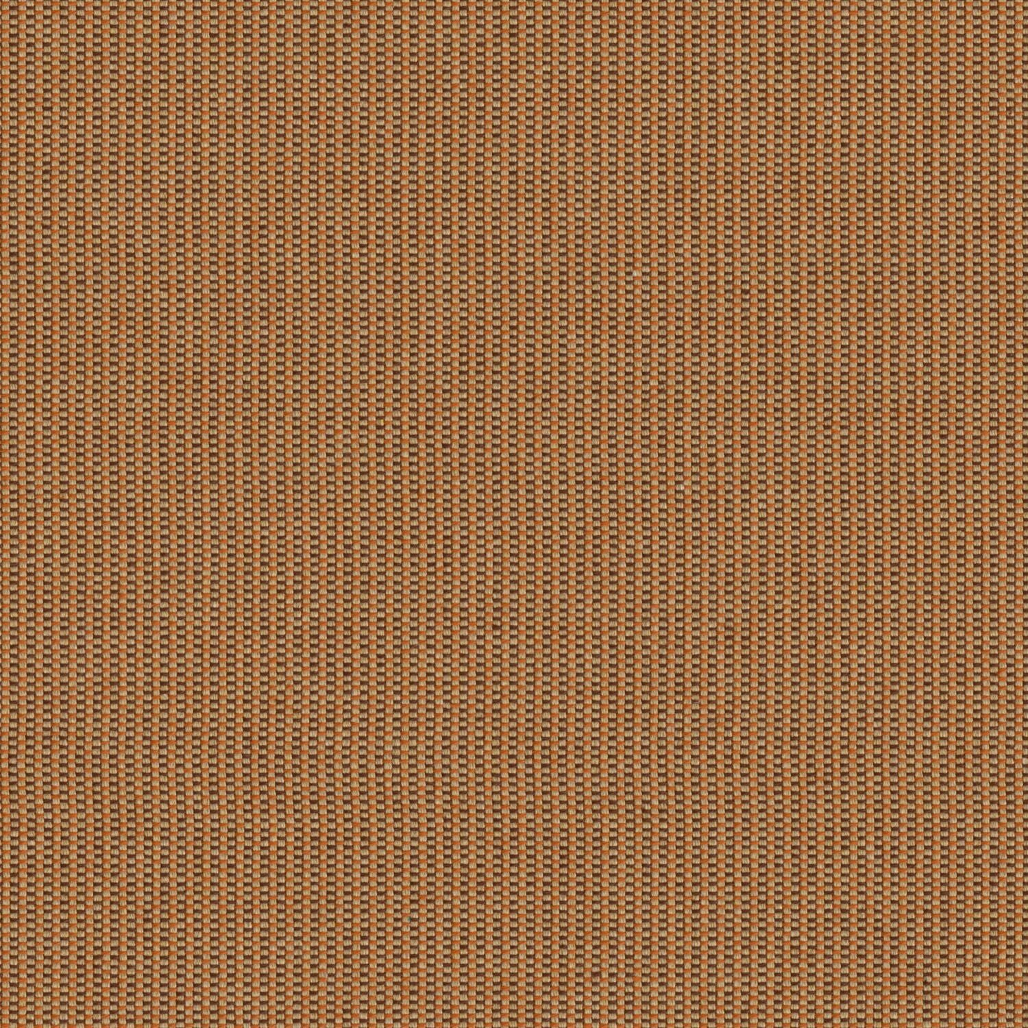 Hive - Cinnamon - 4157 - 03