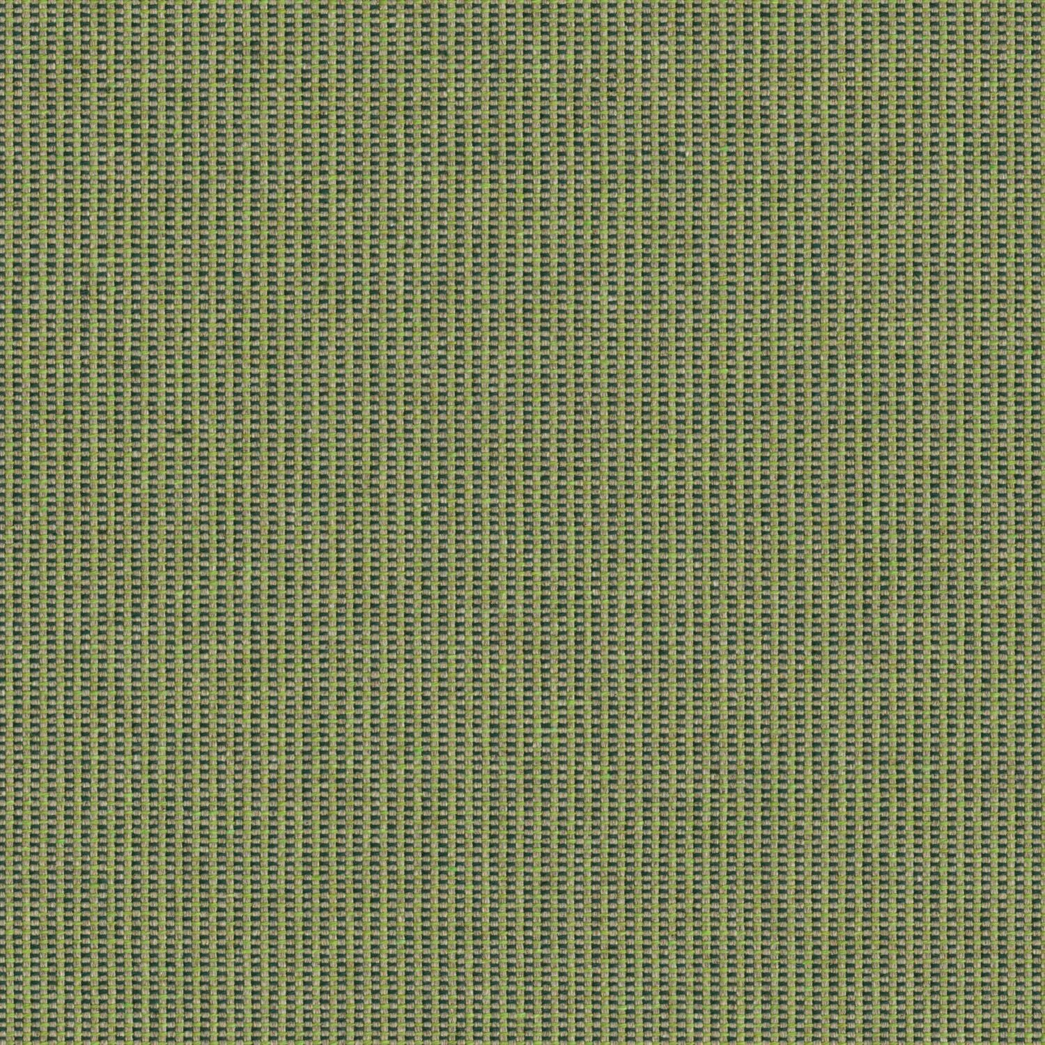 Hive - Clover - 4157 - 04