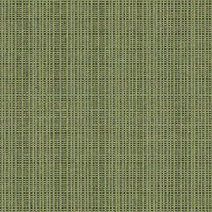 Hive - Clover - 4157 - 04