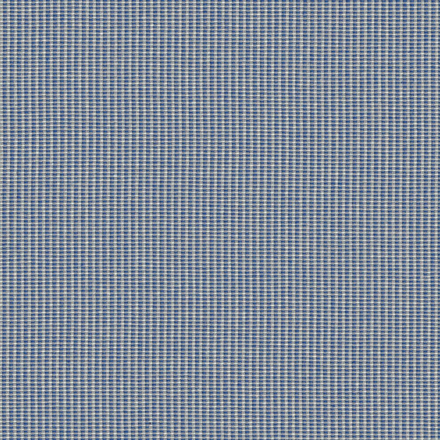 Hive - Blue Jay - 4157 - 06