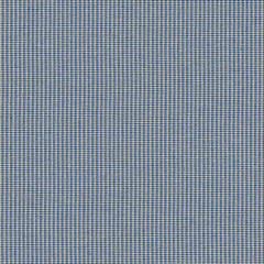 Hive - Blue Jay - 4157 - 06
