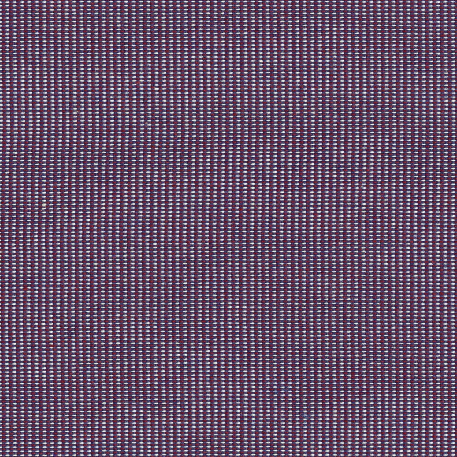 Hive - Iris - 4157 - 07