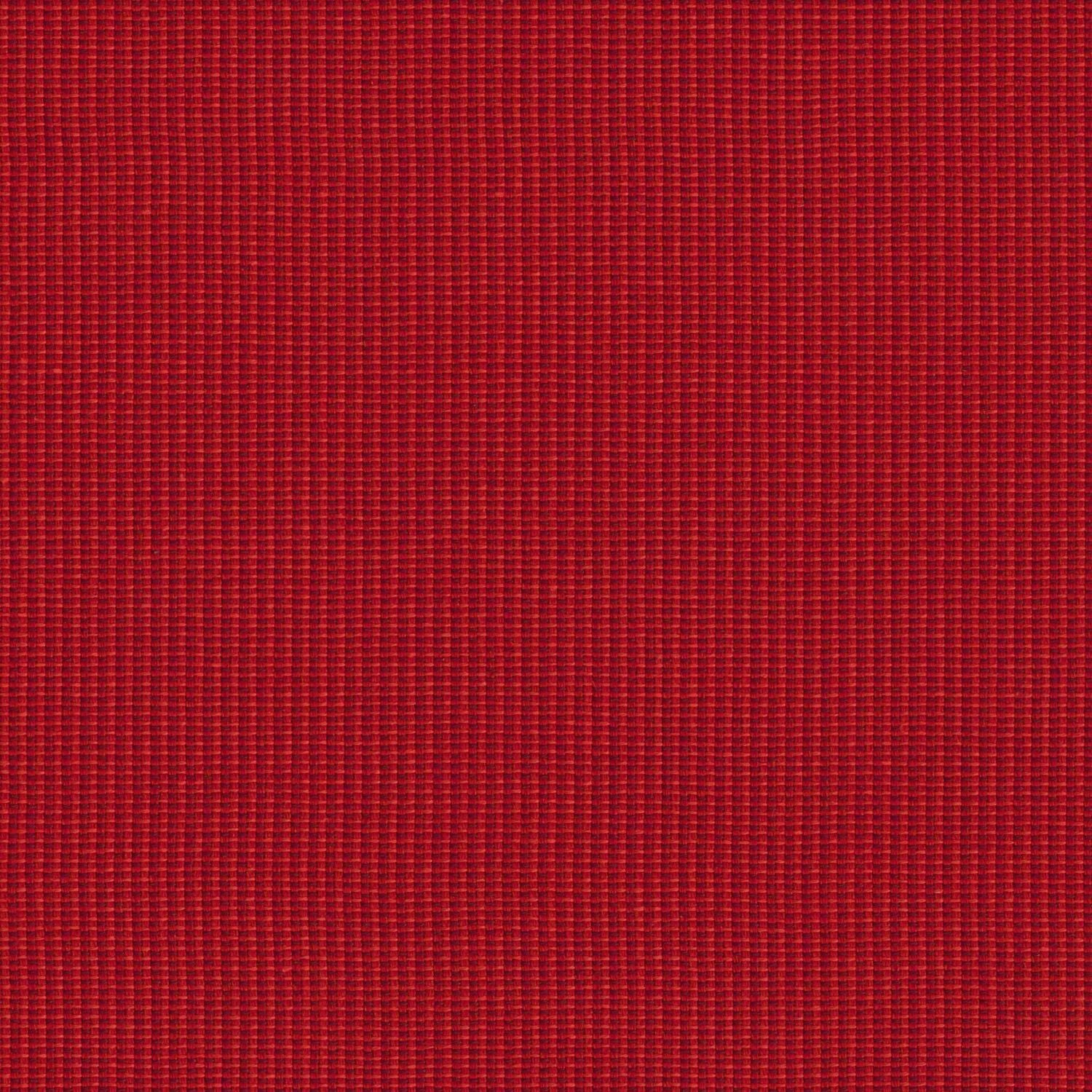 Hive - Peony - 4157 - 08