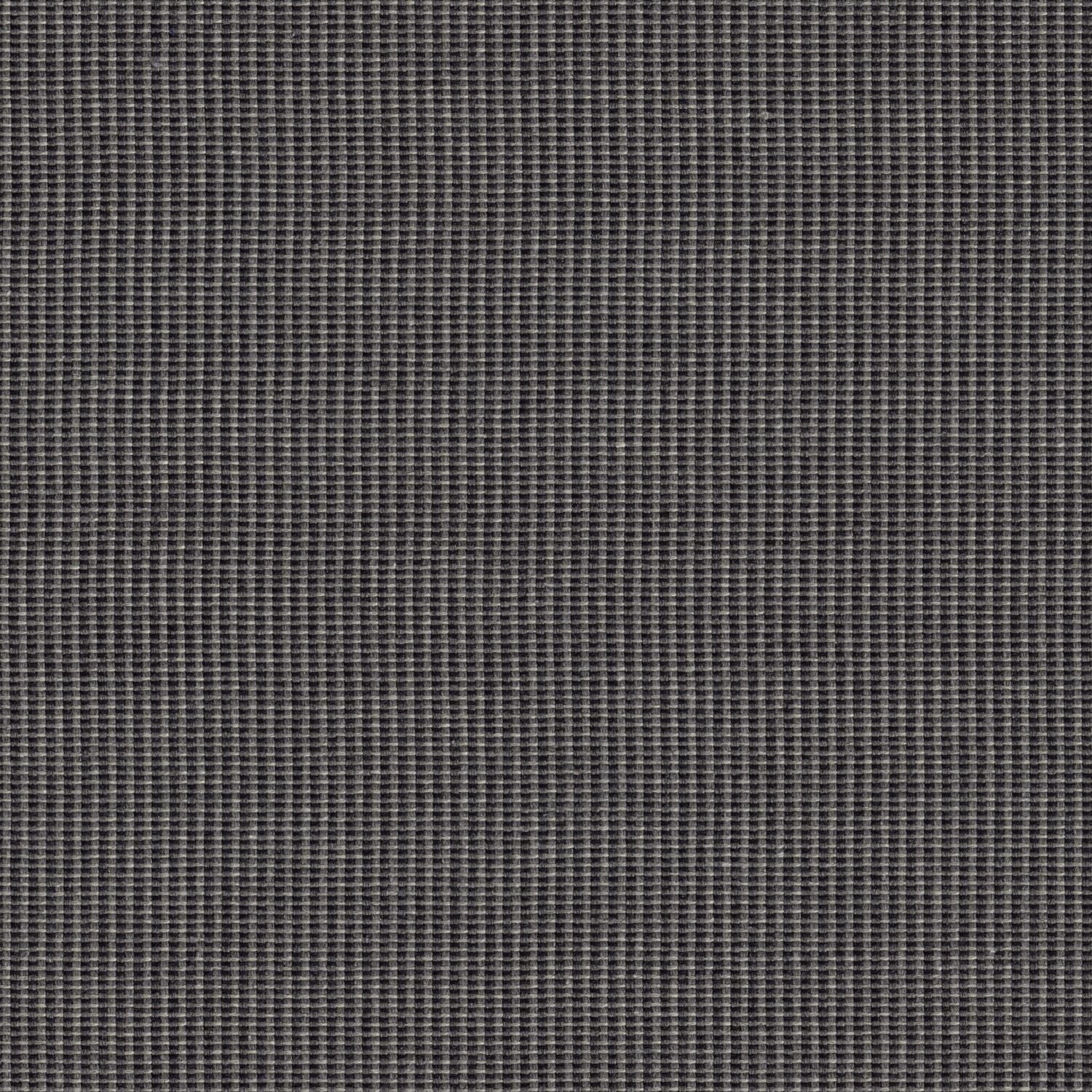 Hive - Graphite - 4157 - 11 - Half Yard