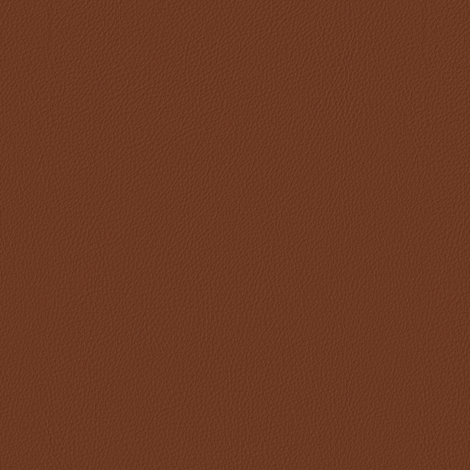 Pela - Clove - 4024 - 01 - Half Yard