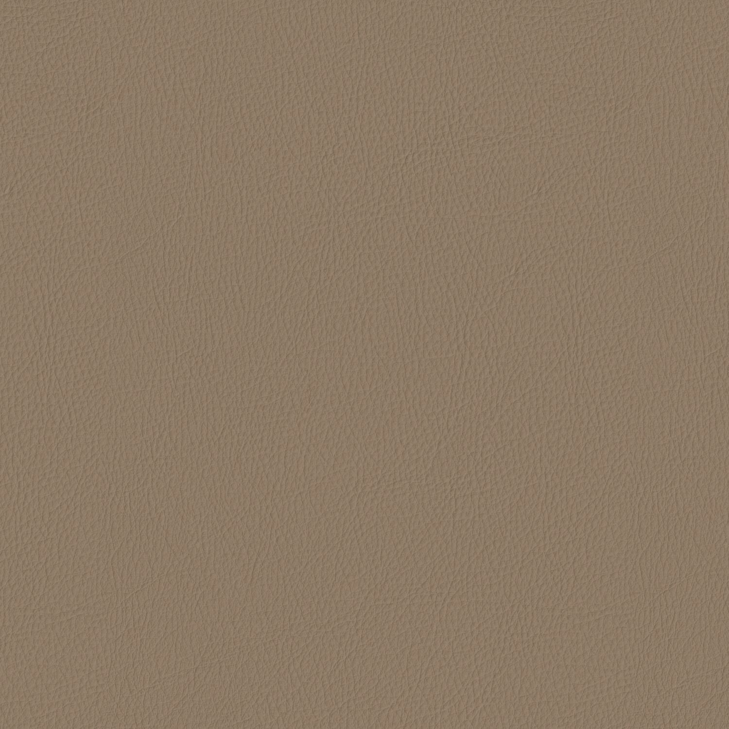 Pela - Buckwheat - 4024 - 05 - Half Yard