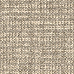 Surface Level - Raffia - 2011 - 05 - Half Yard