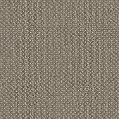 Surface Level - Seedpod - 2011 - 06