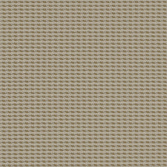 Cross Dye - Light Birch - 4009 - 03 - Half Yard