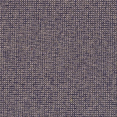 Adage - Orchil - 4069 - 12