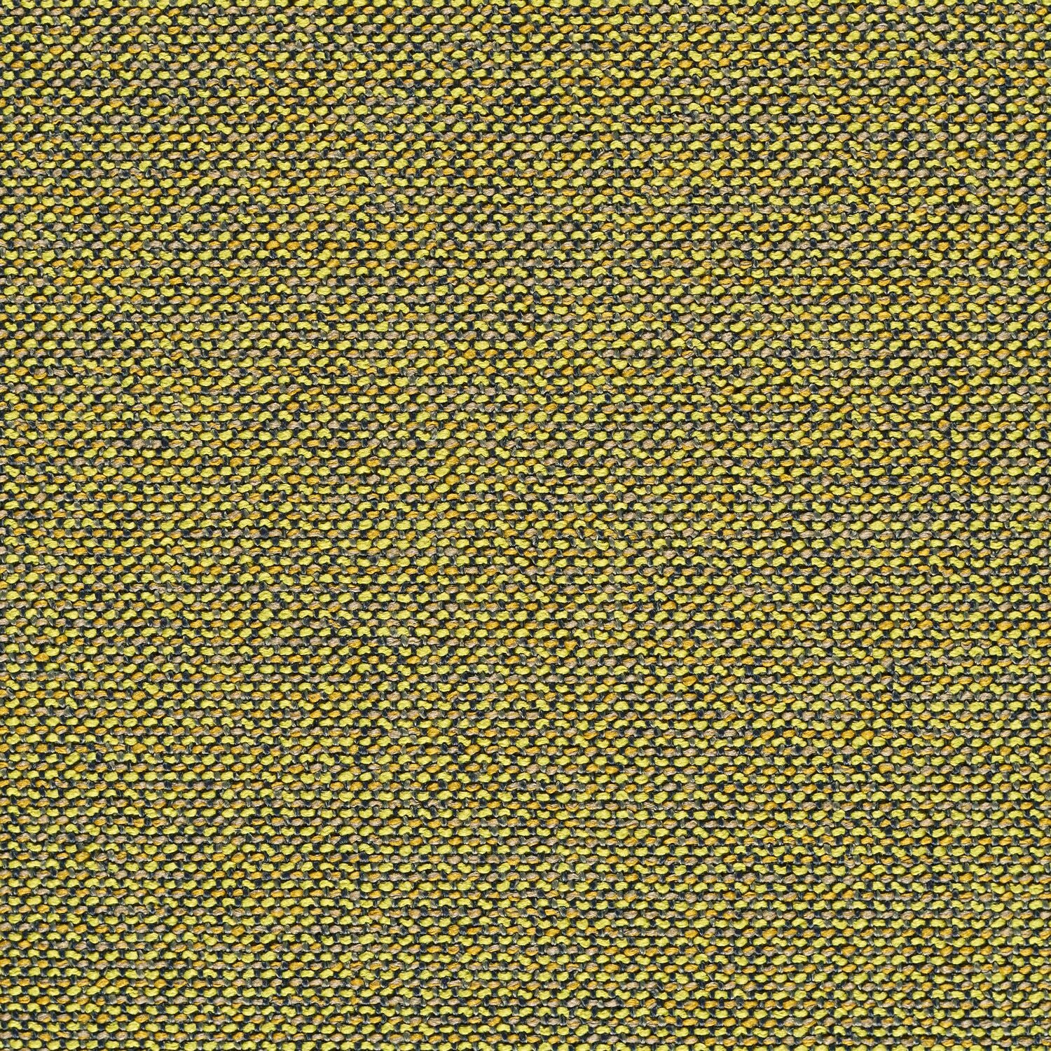 Adage - Holograph - 4069 - 13 - Half Yard