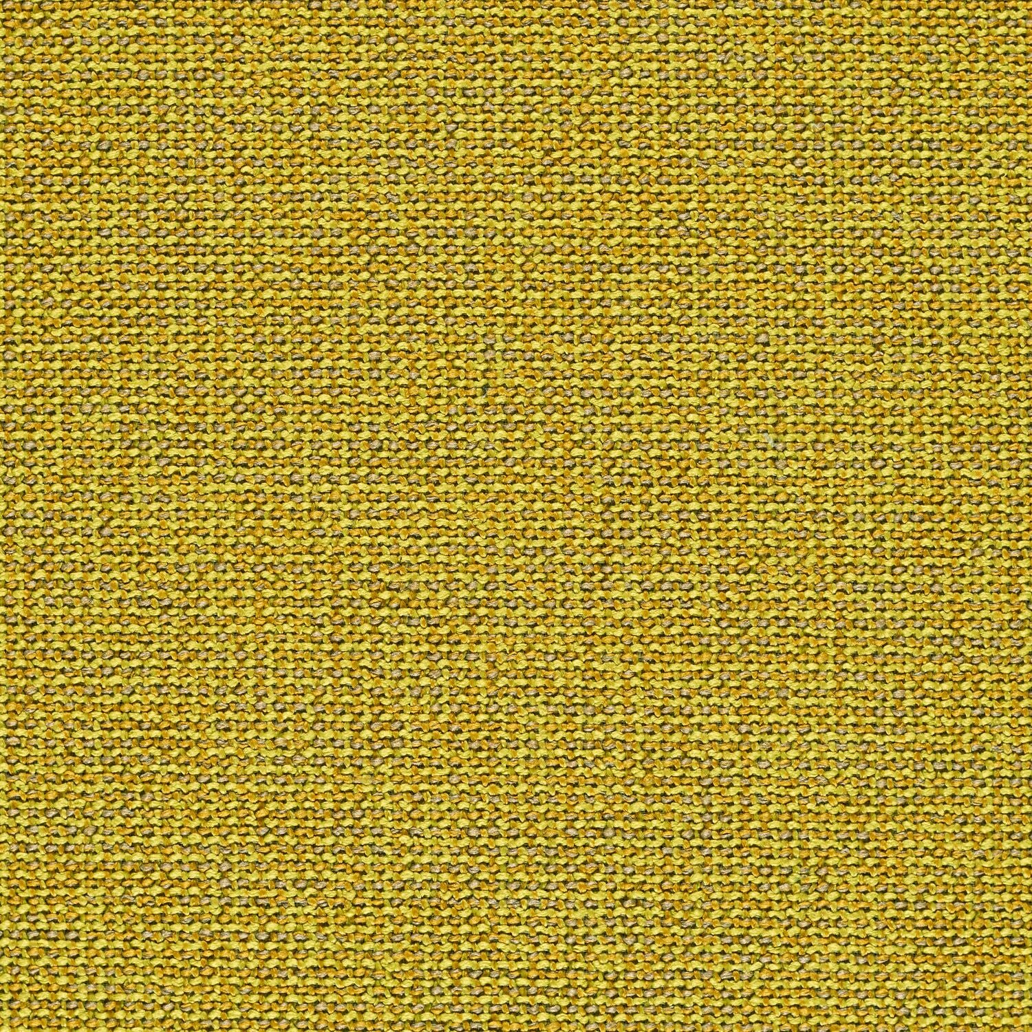 Adage - Photon - 4069 - 14