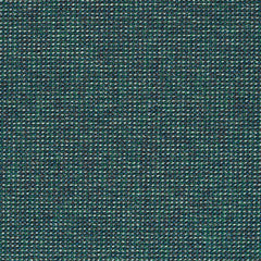 Adage - Raw Jade - 4069 - 17 - Half Yard