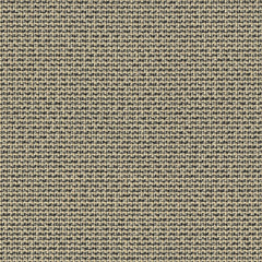 Barberpole Basket - Mycelium - 4114 - 05 - Half Yard