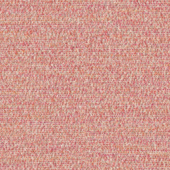 Cognition - Muse - 4130 - 05