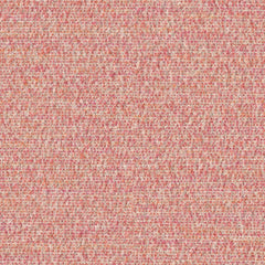 Cognition - Muse - 4130 - 05