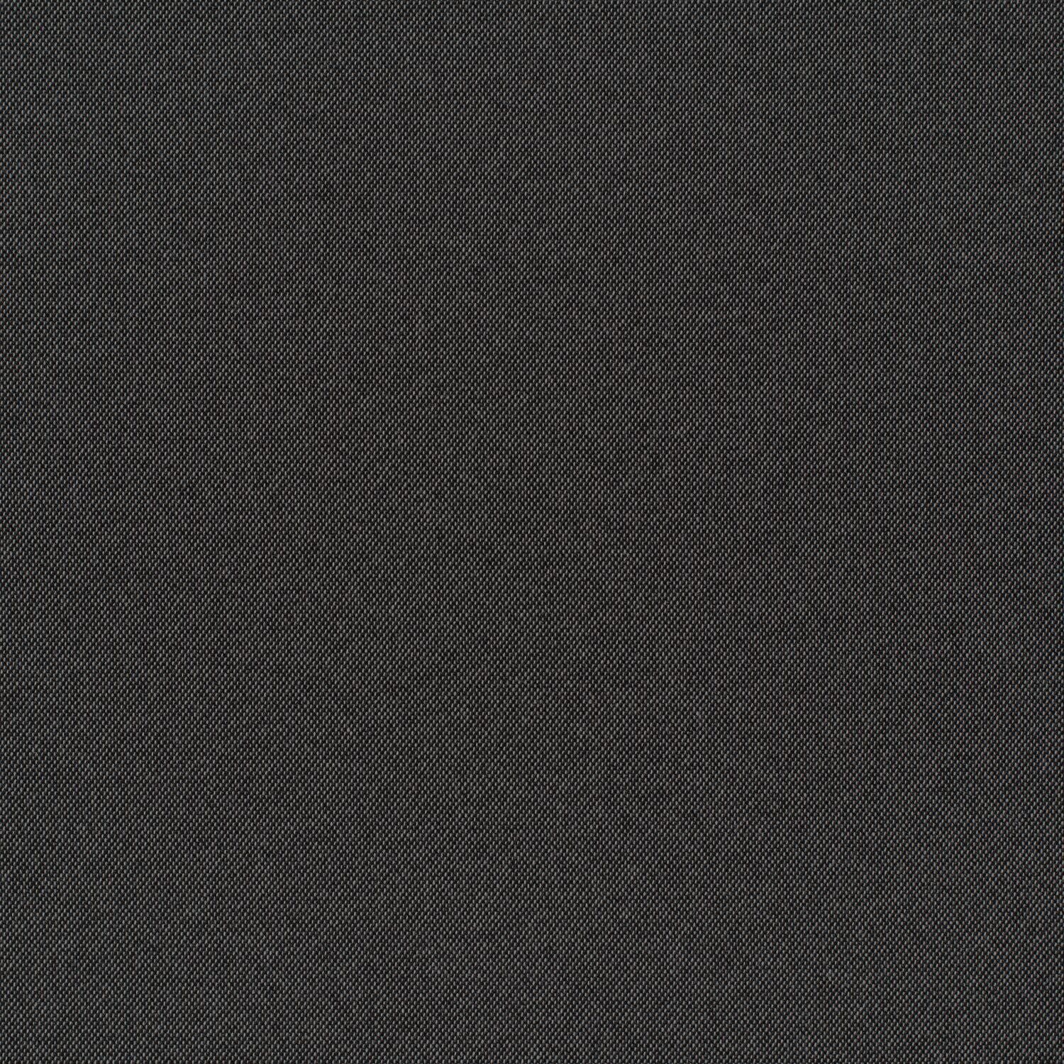 Cult Classic - Black Lagoon - 1031 - 02 - Half Yard