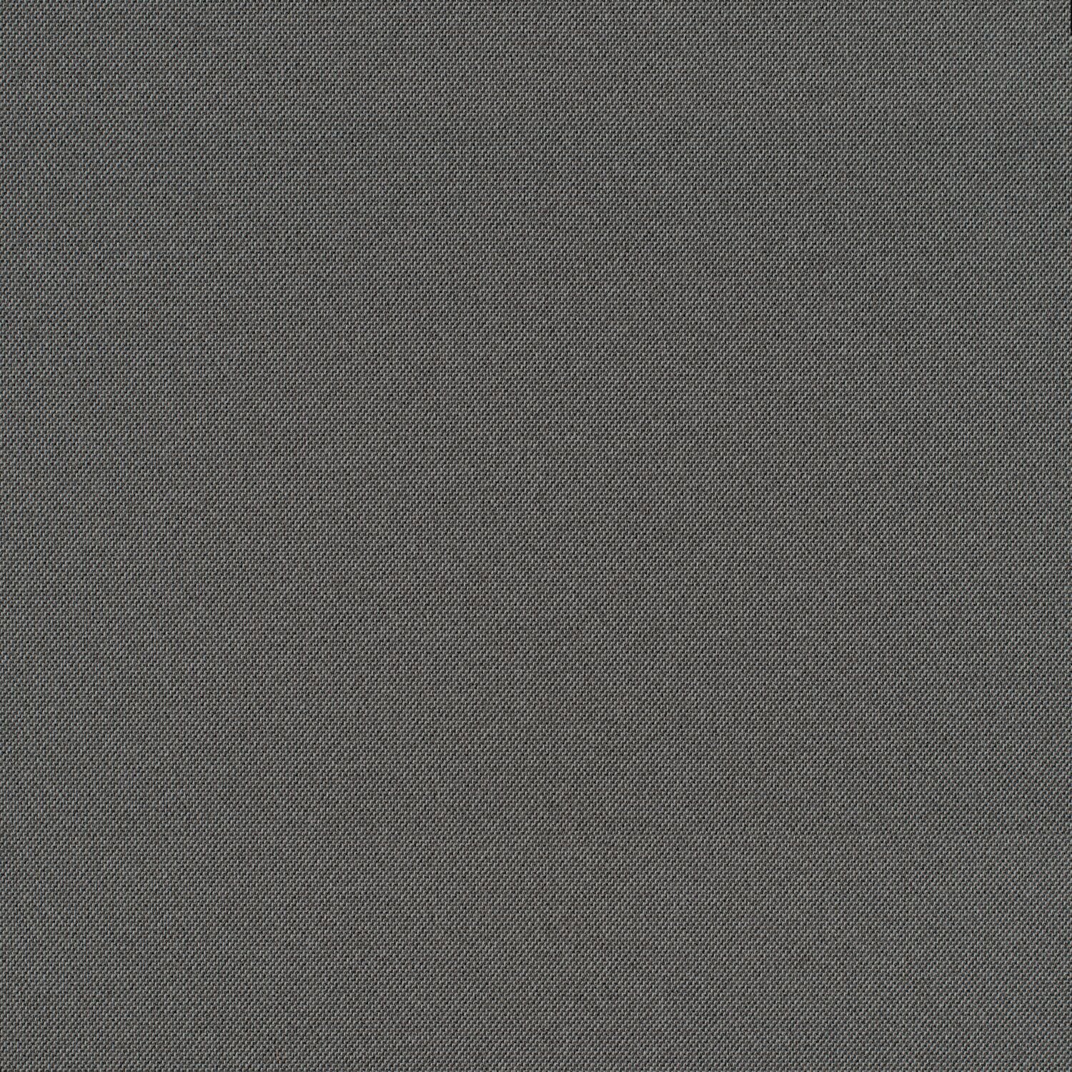 Cult Classic - Grey Gardens - 1031 - 04 - Half Yard