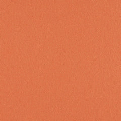 Construct - Zinnia - 4079 - 06 - Half Yard