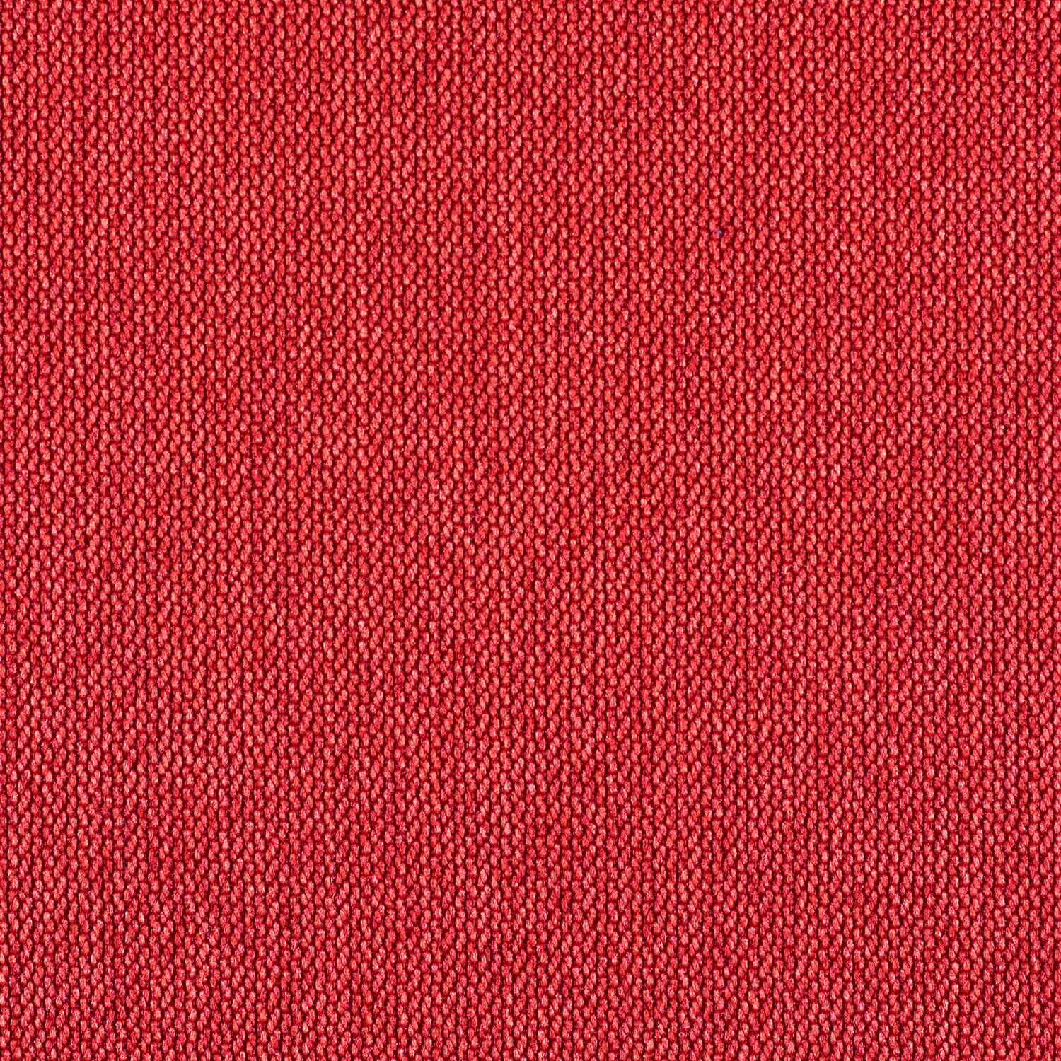 Percept - Cardinality - 4040 - 17 - Half Yard