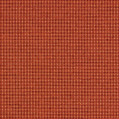 Complement - Arancia - 4042 - 07 - Half Yard