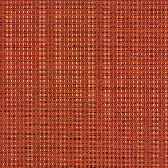 Complement - Arancia - 4042 - 07 - Half Yard