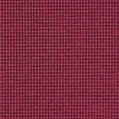 Complement - Garnet - 4042 - 09