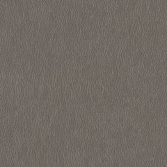 Decoy - Proxy - 4087 - 05 - Half Yard