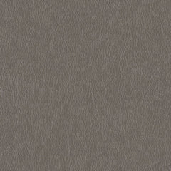 Decoy - Proxy - 4087 - 05 - Half Yard