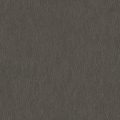 Decoy - Façade - 4087 - 06 - Half Yard
