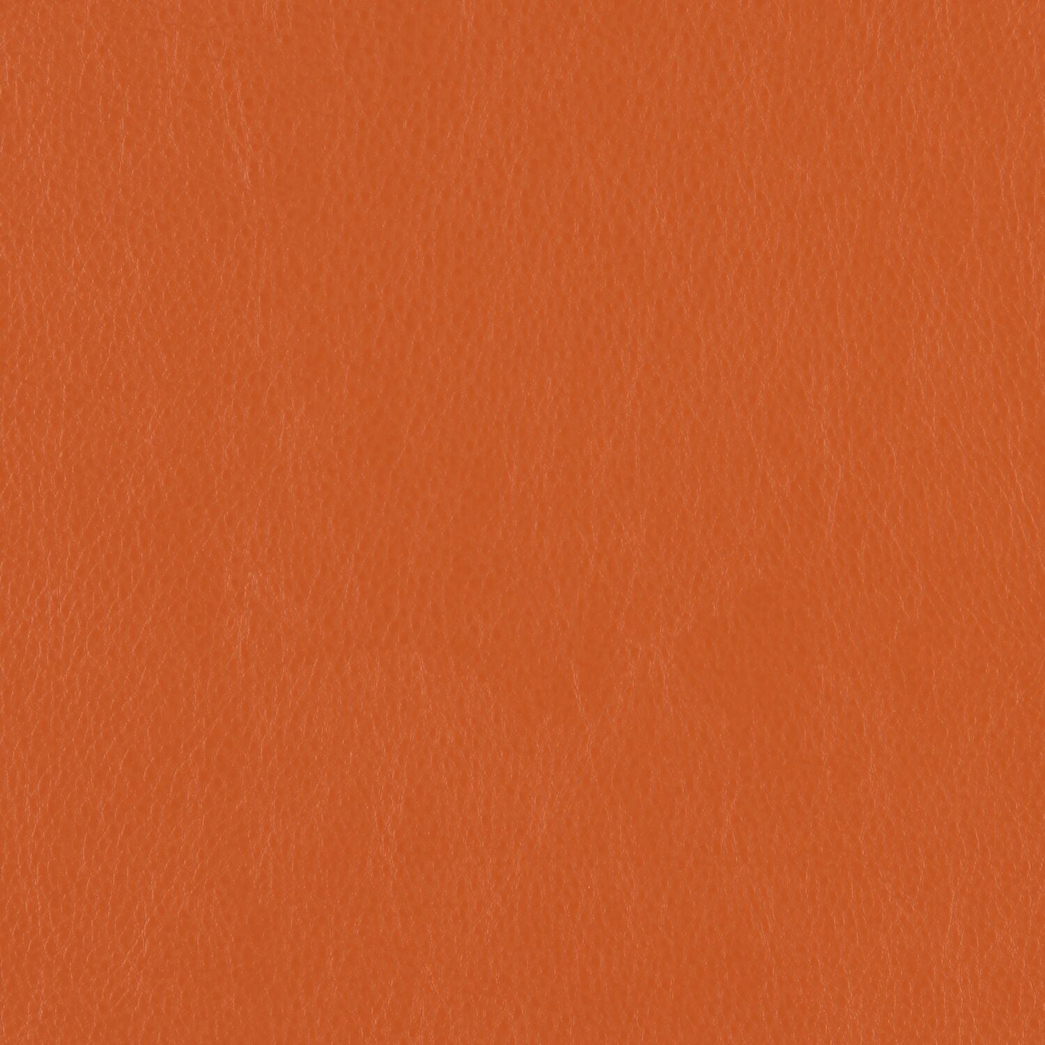 Decoy - Cahoots - 4087 - 23 - Half Yard