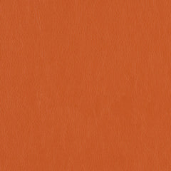 Decoy - Cahoots - 4087 - 23 - Half Yard