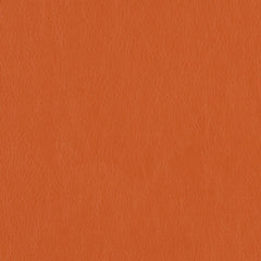 Decoy - Cahoots - 4087 - 23 - Half Yard