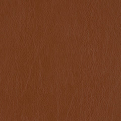 Decoy - Mimic - 4087 - 25 - Half Yard