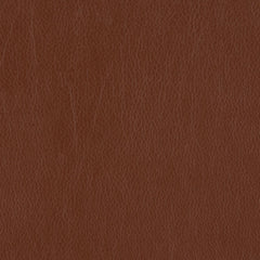 Decoy - Retort - 4087 - 26 - Half Yard