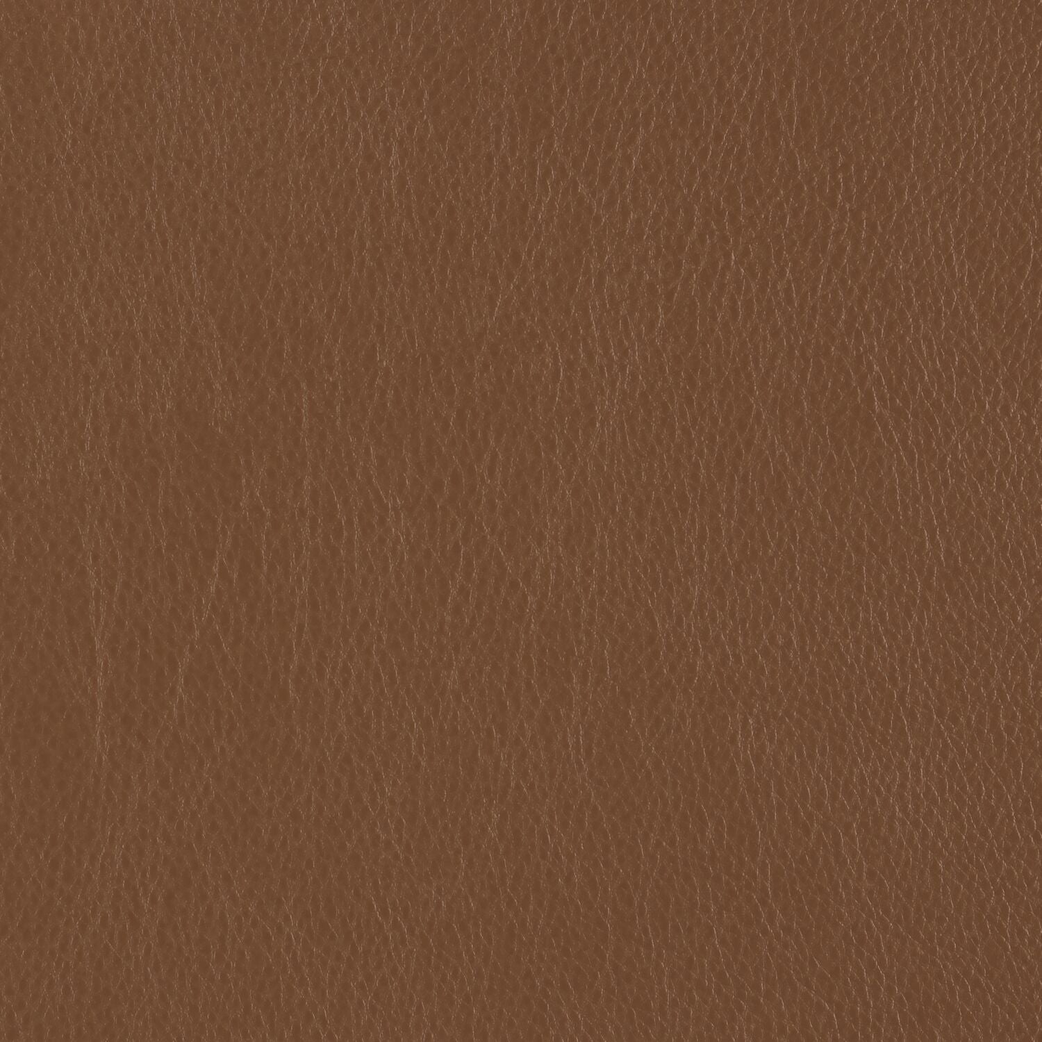 Decoy - Eavesdrop - 4087 - 29 - Half Yard