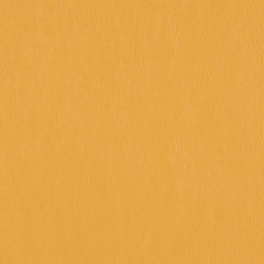Decoy - Fool's Gold - 4087 - 35 - Half Yard