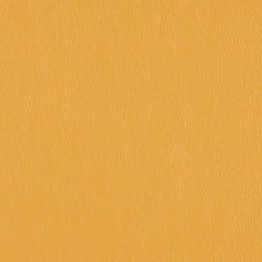 Decoy - Fool's Gold - 4087 - 35 - Half Yard