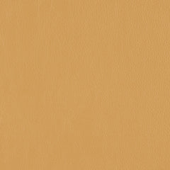 Decoy - Monkey Business - 4087 - 36 - Half Yard