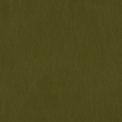 Decoy - Parrot - 4087 - 39