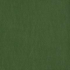 Decoy - Face Value - 4087 - 40 - Half Yard