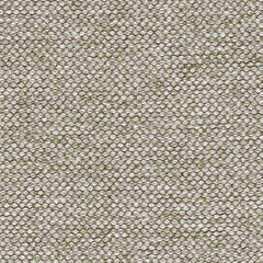 Digi Tweed - Sagebrush Tweed - 4058 - 10 - Half Yard