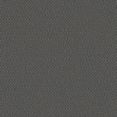 Demi Boucle - Caviar - 2005 - 01 - Half Yard